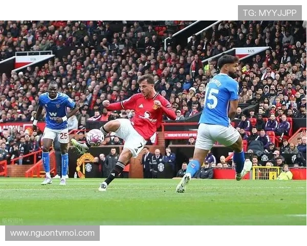 曼联利物浦切尔西争抢泰勒亚当斯